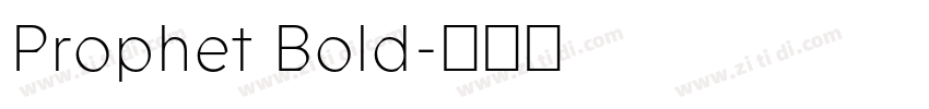 Prophet Bold字体转换